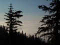 Dawn breaking over a clouded valley.jpg